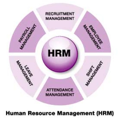 HR & Administration Services